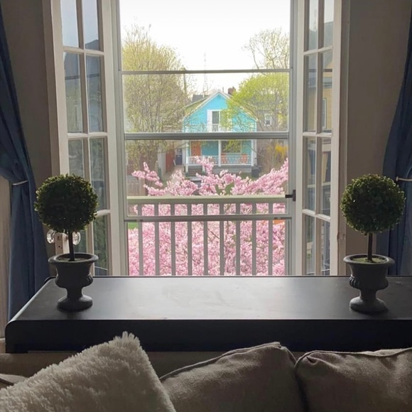 Meet your Posher, Tara - Picture 3 of 4